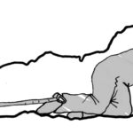 pack drawing dragging option