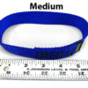 Medium Blue Chicken Loop